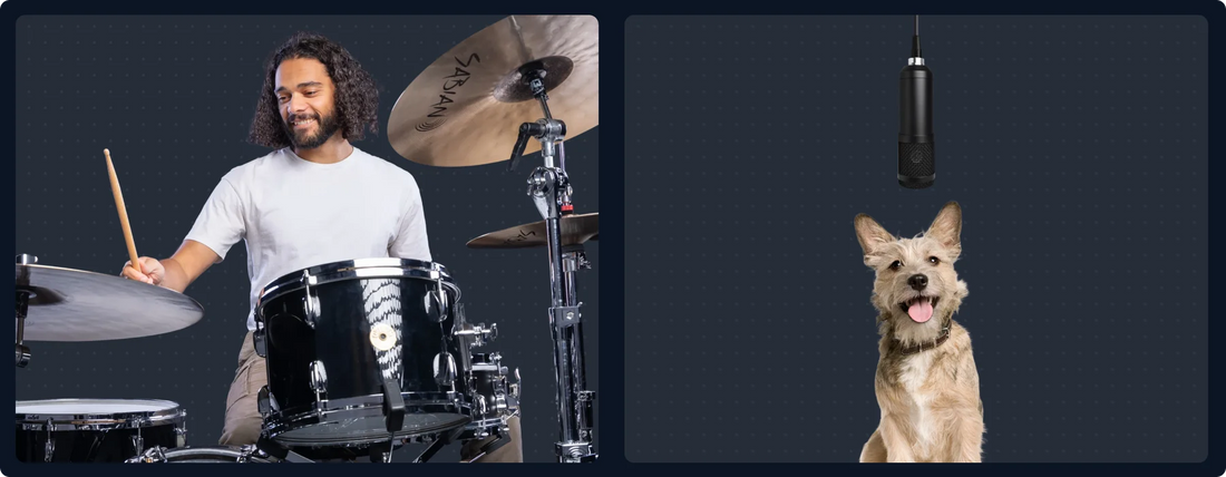 A split-screen comparison showing a man playing a black drum kit on the left and a small tan dog singing into a hanging black microphone on the right, both against a dark navy background.